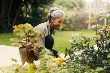 Wellness Gardens: Design, Healing, and How to Grow One in Your Backyard