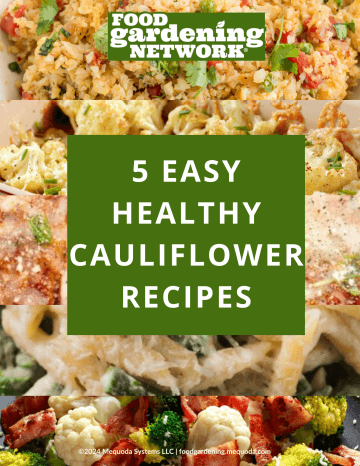 5 Easy Healthy Cauliflower Recipes