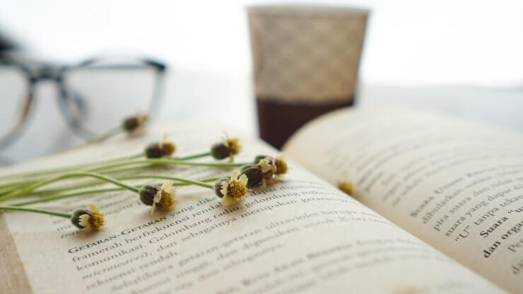 Open book with glasses and wildflowers on a white backdrop, a peaceful reading book setting, still life