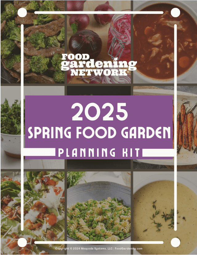 spring food garden planning kit