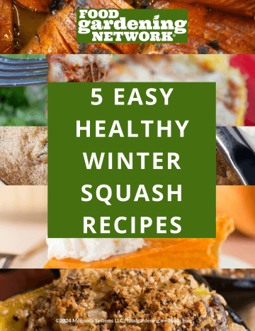 5 Easy Healthy Winter Squash Recipes