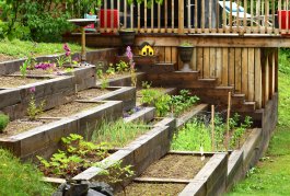 Smart Solutions: Landscaping Ideas for Erosion-Prone Gardens