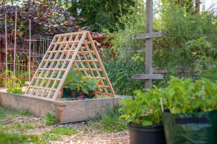 An a-frame cedar trellis