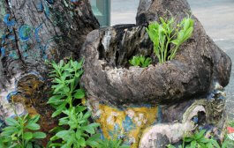 How to Use Old Containers for Creative Gardening Solutions