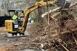FEMA, Gardening, and Hope