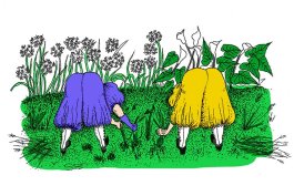 Horticulture Haute Couture