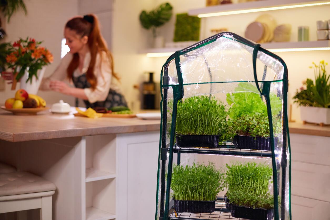 organic food growing