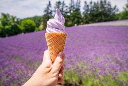 3 Best Lavender Varieties for Culinary Use