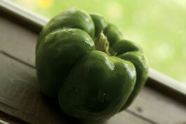 Overwintering Bell Pepper Plants for a Head Start Next Season