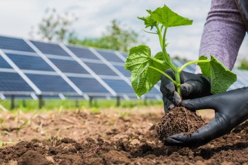 Food Gardens and Renewable Energy