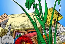 Travels with Iris