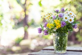 7 Tips for Storing Cut Flowers