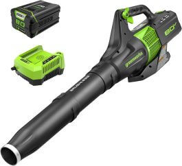 Why Father’s Day is the Perfect Time to Go Electric