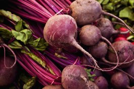 Heat-Proof Beets: Strategies for Growing in Warm Climates