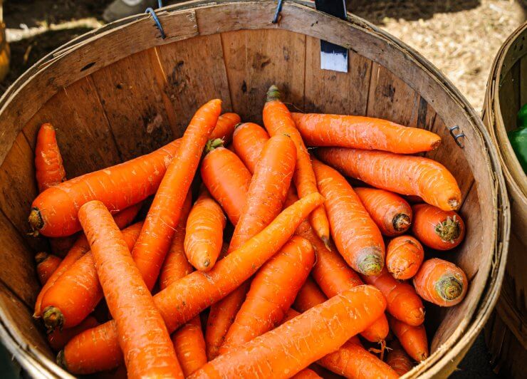 Carrot Basket