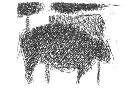 Cowprints in the Carrots