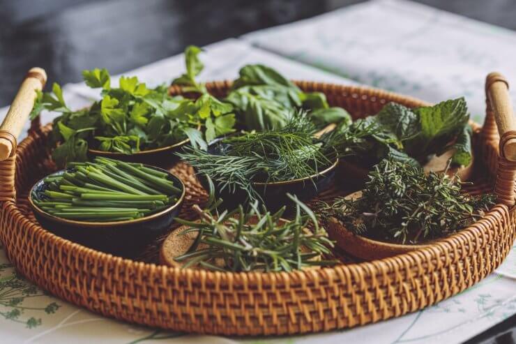 Green spices and herbs
