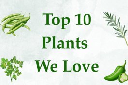 Product Review: Top Ten Plants We Love Story Collection