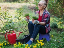 A Senior’s Ultimate Guide to Gardening from a Chair