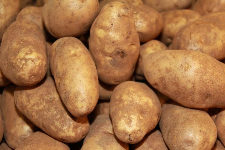 Russet Potatoes