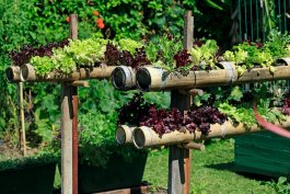 Six-Square-Foot Salad Systems