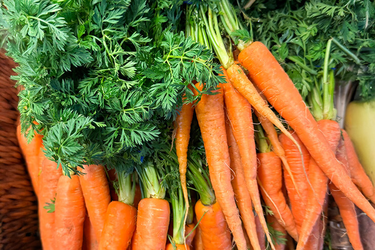 Pile of fresh carrots