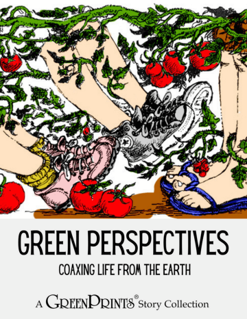 Top ten plants we love