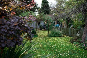 The Fall Garden Makeover