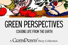 The Unexpected Theater of Gardening