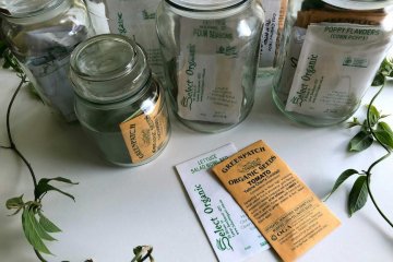 The October Seed Swap