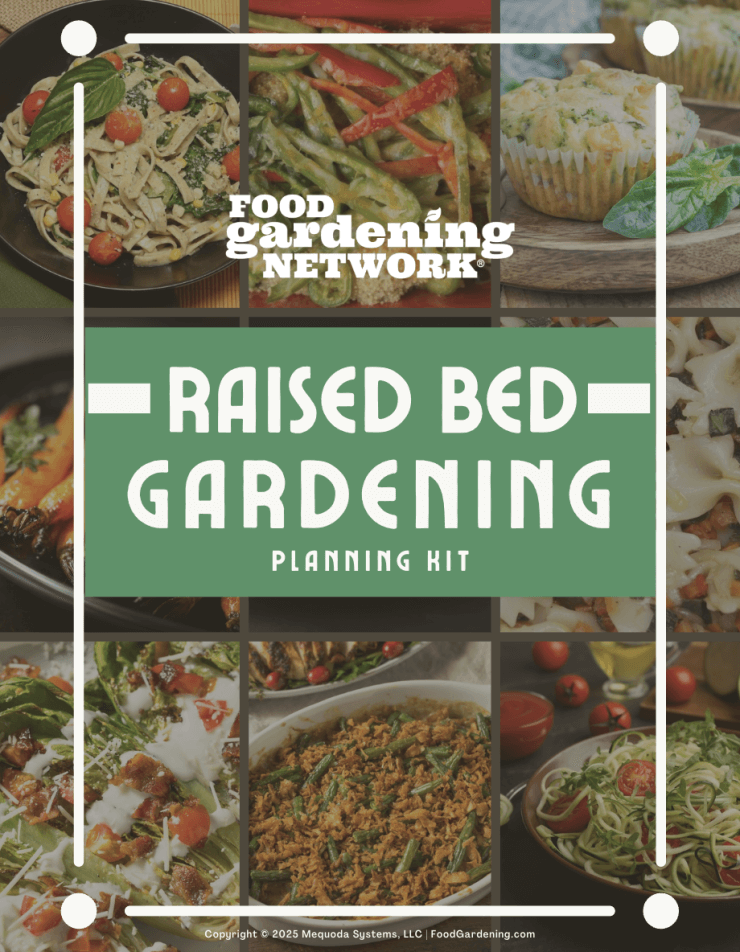 Raised Bed Gardening