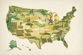 Grateful Hands, Greener Hearts