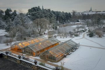 The December Garden’s Secret Life