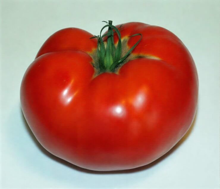 Jetstar Tomato Seeds - 100 Count Seed Pack - Non-GMO -Jet Star is a Prolific Variety That Produces an Abundance of Super Sweet, Medium-Sized Tomatoes. - Country Creek Acres