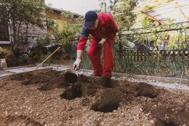 Amending Existing Soil: Fix, Don’t Fight