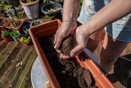 Building Soil from Scratch: Raised Beds and Containers