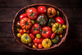 Cheers to My Personal Tomato Favorites Cheers to My Personal Tomato Favorites