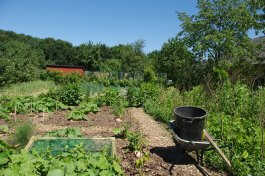 Summer: Feeding the Feast