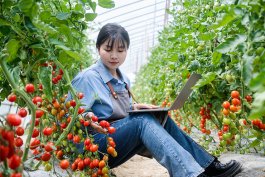 How to Use This Book