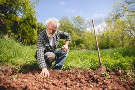 In-Ground Gardens: Working with the Soil You’ve Got