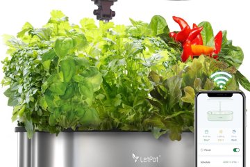 LetPot Indoor Gardening Solutions