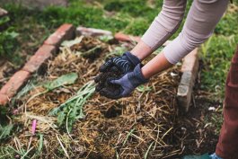 Organic Principles for Food Gardeners