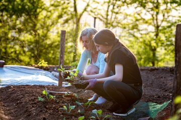 The Complete Home Garden Ecosystem