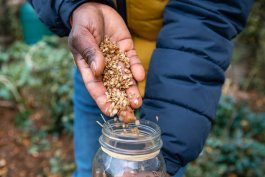 Saving Seeds and Carrying the Season Forward Saving Seeds and Carrying the Season Forward