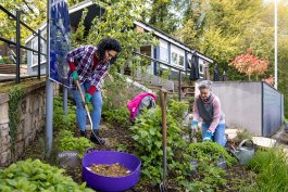 Soil Care in Cold Climates (Zones 3–5)