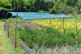 Soil Care in Warm & Tropical Climates (Zones 9–12)