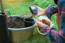 Soil pH and Mineral Balance