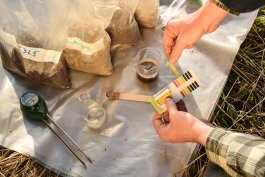 Testing Your Soil: The Gardener’s Report Card