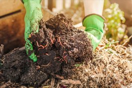 The A-to-Z of Soil Health